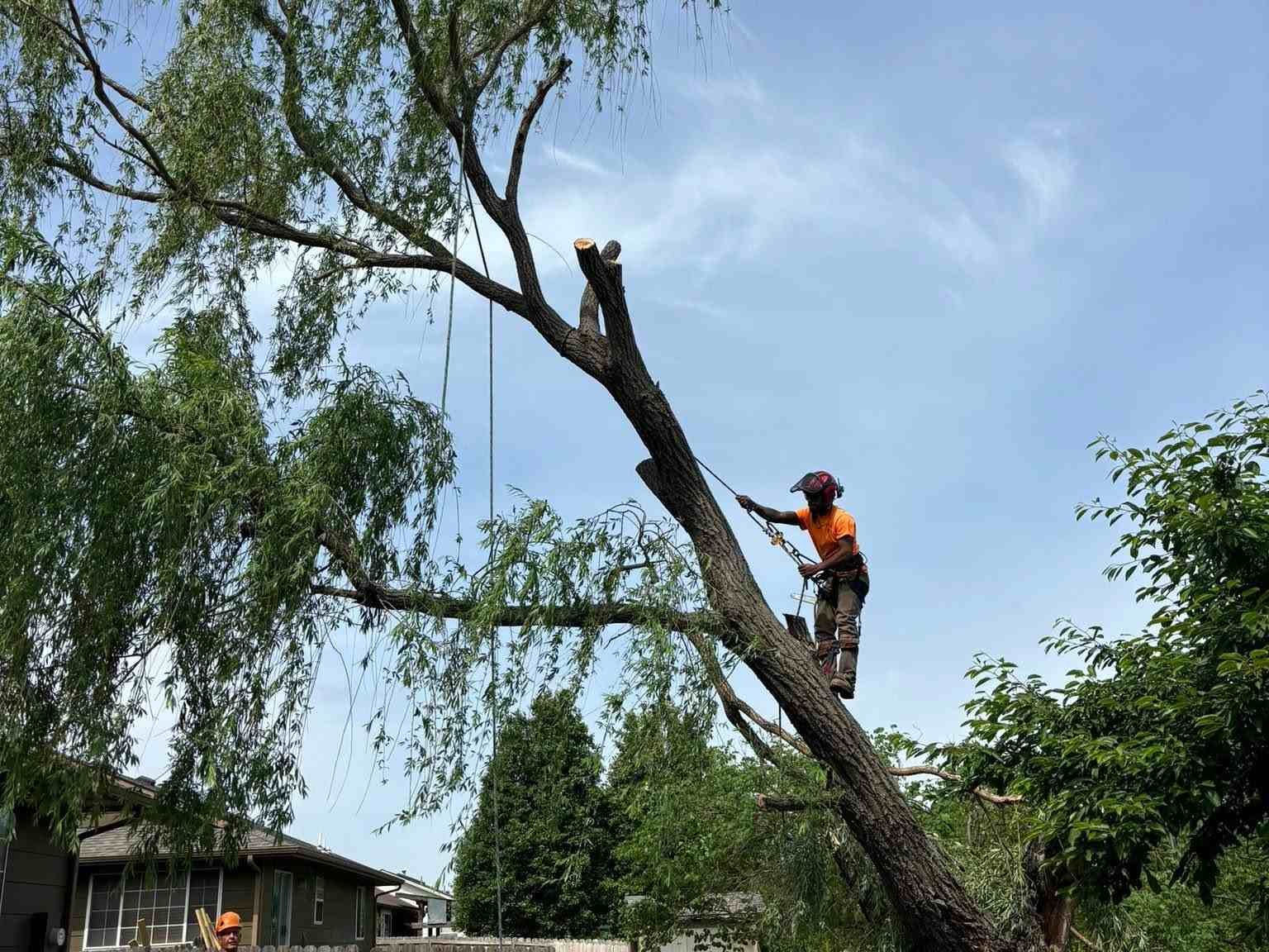 A man in a hard hat and orange shirt