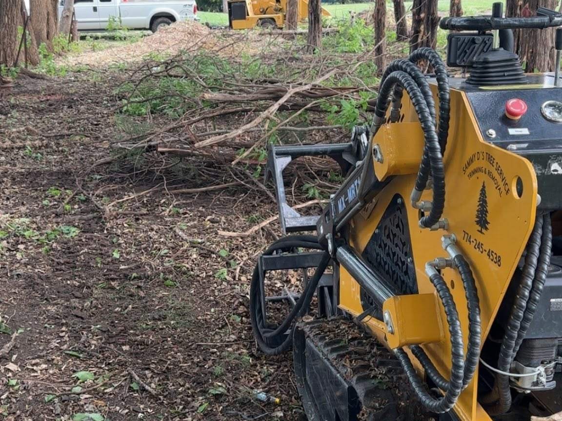 A yellow and black tree service machine is parked