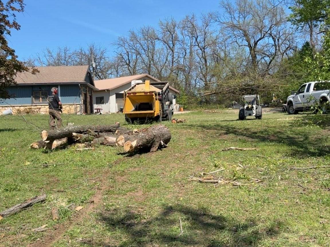 a person standing in a yard with a large tree